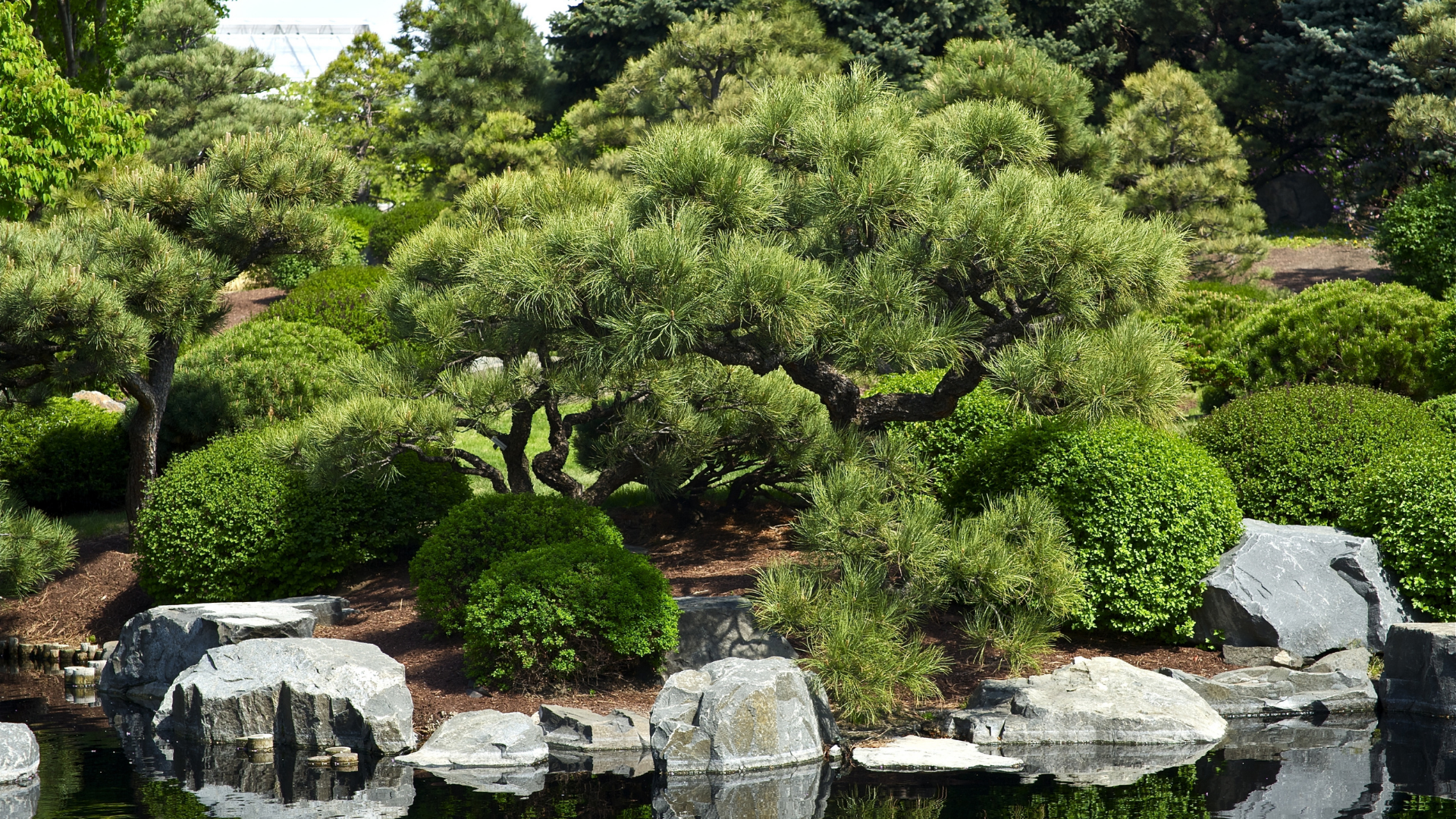 botanischer-garten