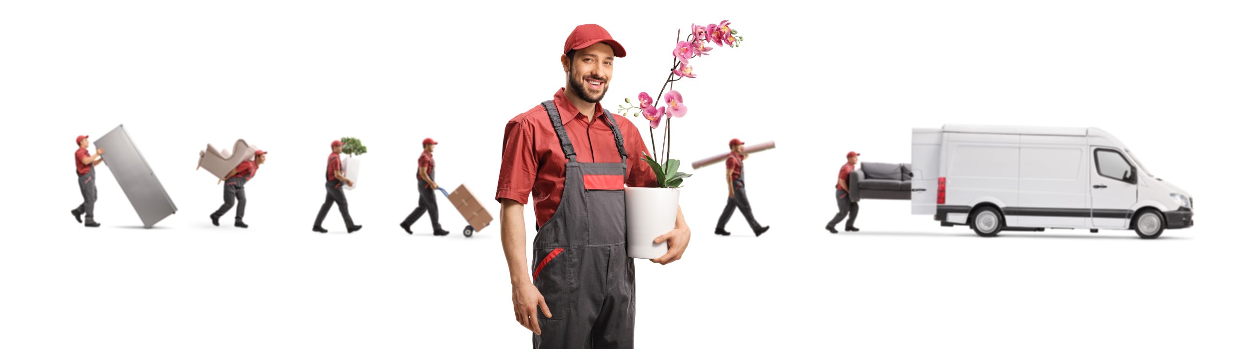 Moving plants and flowers Moving plants and flowers